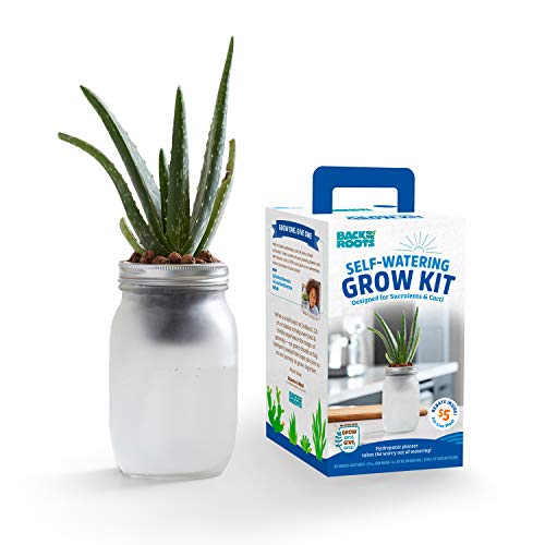 Self Watering Grow Kit - Glass Hydroponic Planters for Succulents and Cacti Self-Watering System