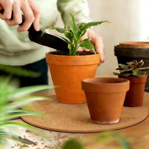 2 Pcs Large Cork Plant Coasters 14 Inch Double Layers Thicken Planter Coaster Plant Pot Saucers Waterproof Non-Slip Mat for Indoor Outdoor Plants Home Floor Protection - view 5