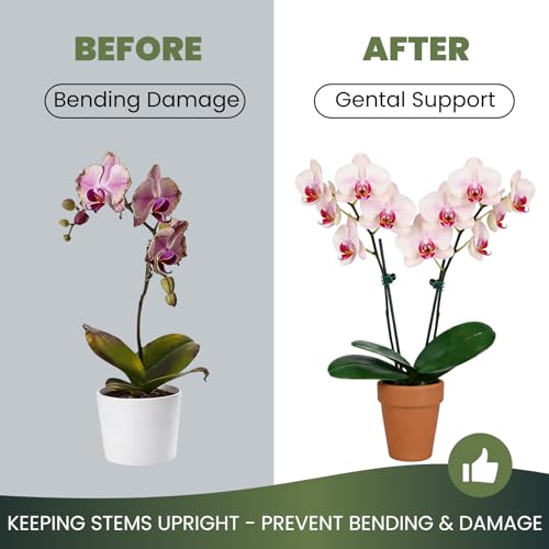 100pcs Standard Orchid Clips, Small Plant Clips for Thin Stem Vines - view 3