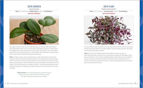 Houseplants for Beginners: A Practical Guide to Choosing, Growing, and Helping Your Plants Thrive - view 7