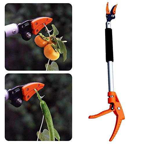 Pruning Shears, Garden Loppers Long Handle 0.6-1M Extra Long Telescopic Fruit Picker Tree Cutter Garden Supplies Quality Gardening Tool (0.8m) (0.8m) - view 7