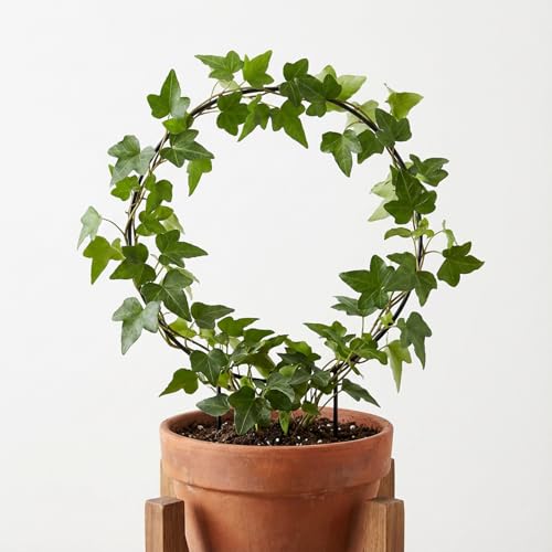 2 Pcs Trellis for Climbing Plants Indoor 14.5" Hoya Trellis Set Small Plant Support Stakes Round Climbing Plant Supports Flower Houseplant Hoya Support for Garden Stem Vines Potted Plants - view 3