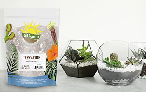Terrarium Potting Soil Mix (4 Quarts) w/Blended Filtering Charcoal Custom Made for Terrariums - view 2