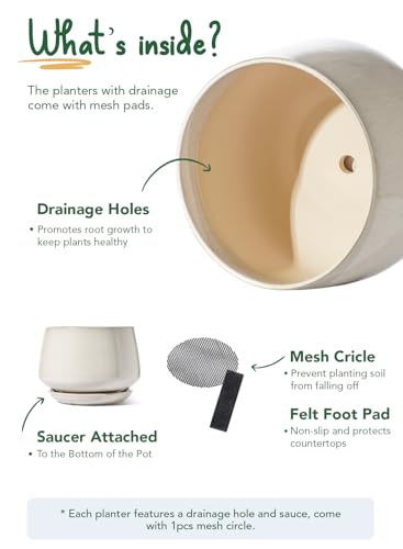 Ceramic Planter, 12 Inch, Large Plant Pot, Reactive Glaze Beige - view 5