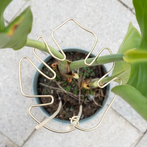 5PCS Metal Plant Stem Support-Monstera Stabilizer Grapple Holder - view 6