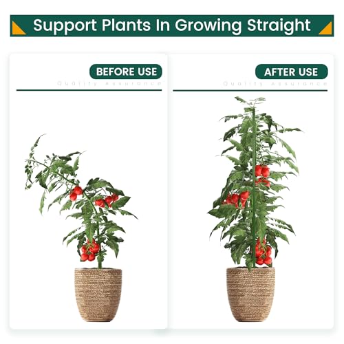36 Inch 3 Ft Plant Support Garden Stakes for Outdoor Plants, 25 PCS - view 3