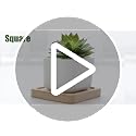 Small Succulent Pots 12 Pack, Mini Flower Planters with Drainage White - view 7