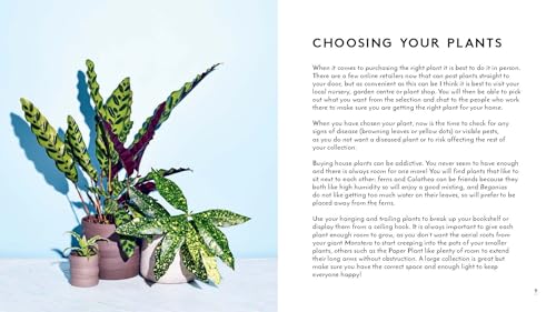 Little Book of House Plants and Other Greenery - view 3