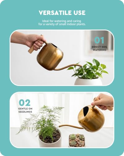 Watering Can Indoor Plants with Long Spout, 1.2L / 41oz (Glod) - view 5