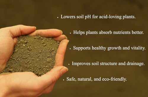 Greensand 20 Pounds Natural Soil Amendment for Garden & Lawns, Rich in Potassium & Iron, Improves Soil Structure & Water Retention - view 4