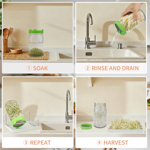 Seed Sprouting Kit with Mung Beans 80g, 2 Large Wide Mouth Mason Jars with Sprout Lids, Blackout Sleeves, Drain Tray, Stainless Steel Stand, Sprouts Growing Kit for Growing Bean Alfalfa Sprout Seeds - view 4