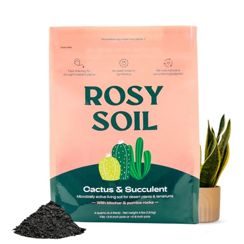 Cactus & Succulent Potting Mix, 4 Quarts