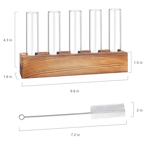 Plant Propagation Station, Plant Terrarium with Wooden Stand - view 2