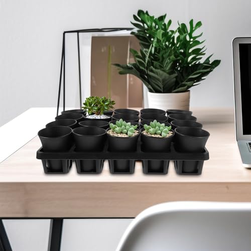 Black Plastic Nursery Plant Pot Holder Tray with Humidity Dome for Cacti - view 7