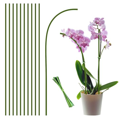 10Pcs Plant Stakes, 15IN Orchid Support Stakes for Indoor Plants
