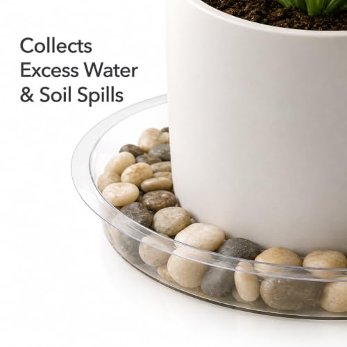 Heavy Duty Clear Plastic Plant Saucers, Flower Pot Tray - Excellent for Indoor & Outdoor Plants (8-Inch, 10-Pack) - view 4