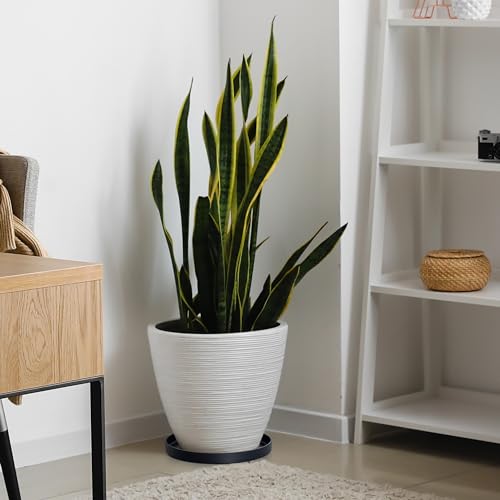 12 Inch Plastic Plant Saucer Water Drip Tray, Heavy Sturdy Round Plant Drainage Tray for Indoors Outdoor, Matte Black, 21-TY-12B-1 - view 5
