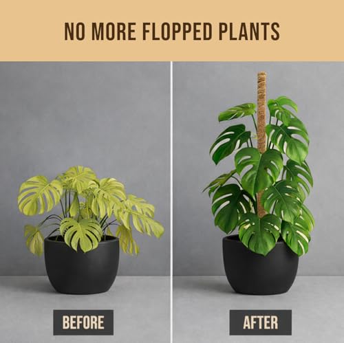 29" Moss Pole Monstera Plant Support, Indoor Plant Stakes - view 7