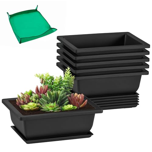 6.5 Inch Bonsai Training Pots with Drainage Holes & Trays, 6 Packs