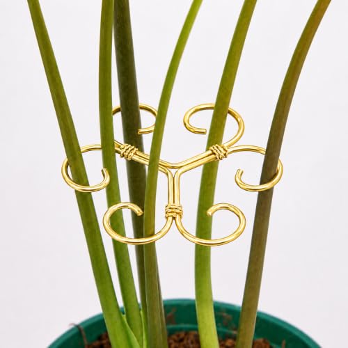 4.1" Plant Supports for Indoor Plants - 4 Pcs Stem Stabilizers for Monstera