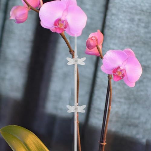 Single Stem Orchid Plant Support Stake, Plastic Upright Growth Guide - view 4