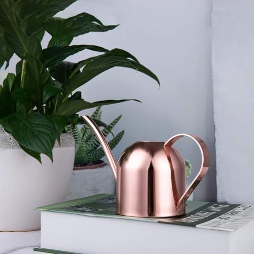 Mini Indoor Watering Can for Small Plants, Stainless Steel with Long Spout, 15oz/450ml – Perfect for Desk, Windowsill & Bonsai - view 6