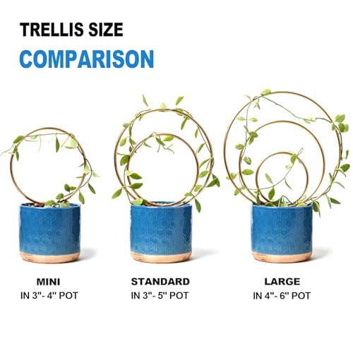 Hoya Trellis for Indoor Plants - 3PCS Stylish Metal Plant Supports - view 3