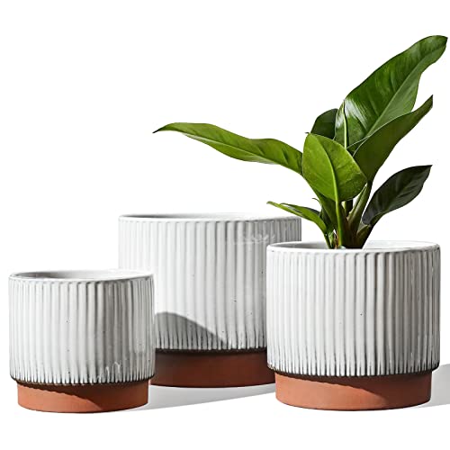 Ceramic Pots for Plants, 8+6.7+5.5 Inch Plant Pots Indoor, Flower Pot with Drainage Holes, Medium Cylinder Planters for Indoor House Plants, Set of 3, Reactive Glaze White