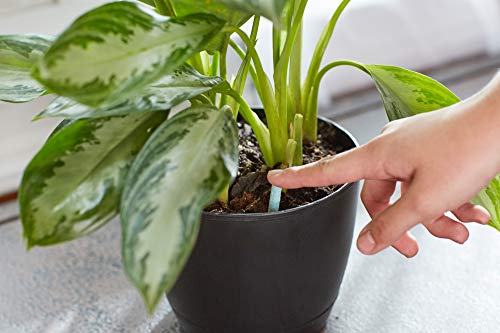 Indoor Plant Food Spikes, 48 Spikes (2-Pack) - view 3