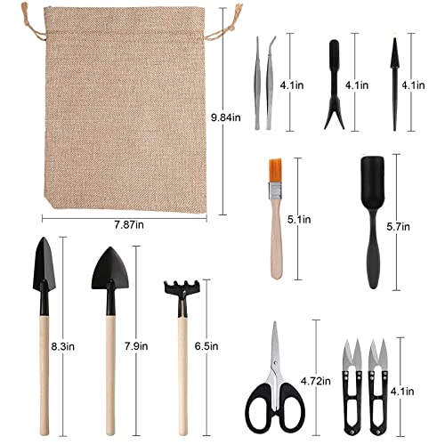RoseFlower12 Pcs Mini Gardening Tools Set, Plants Care Tools Kit, Bonsai Mini Hand Transplanting Succulent Tools, Indoor Terrarium Tool Accessories, Garden Plant Care Tool Kit, Gardening Accessories - view 2