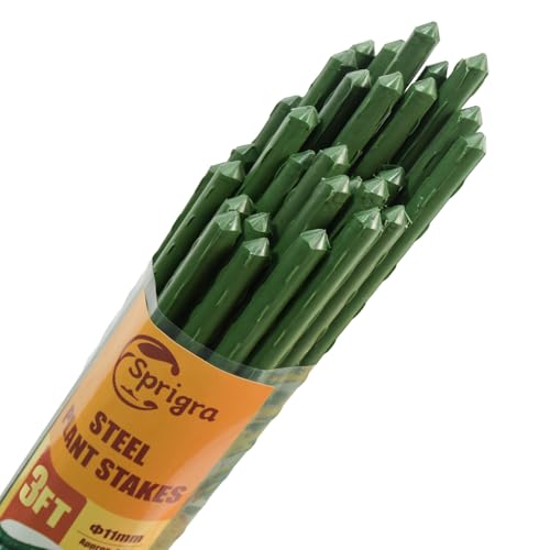 Plant Stakes 36 inch, 3ft Steel Garden Stakes 25 Pack, Sturdy Plant Support for Climbing Plants, Tomatoes, Beans, Cucumbers, Peppers, Flowers, Potted, Strengthen and Stem to Grow Better