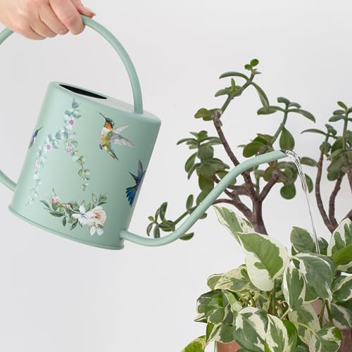 Indoor Watering Can & Mist Spray Bottle Set for Indoor Plants - Decorative - view 2