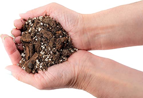 Premium Spider Plant Potting Soil Mix - (2 Quart Bag) - view 3
