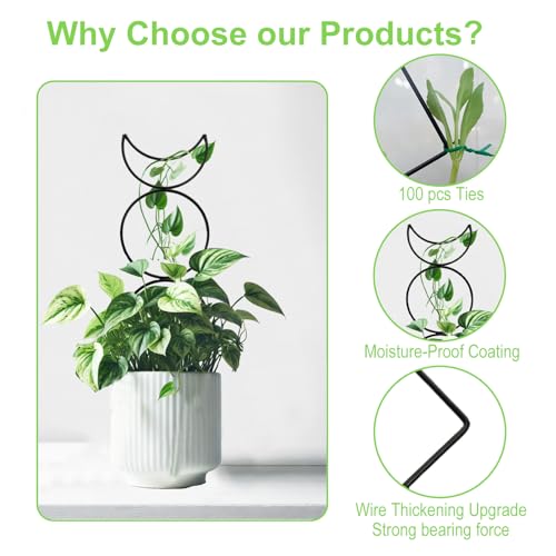 4 Packs Trellis for Climbing Plants Indoor, Small Garden Metal Trellis for Potted Plants Outdoor for Vine Ivy Flower Plant Support, 4 Different Black Iron Patterns - view 6