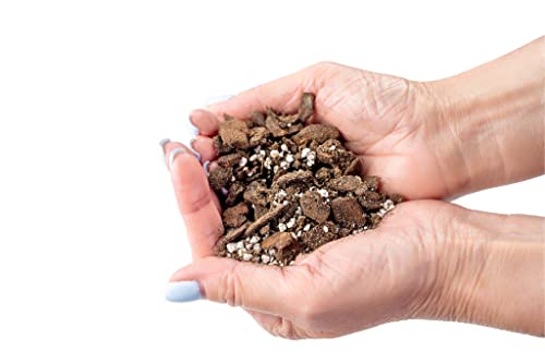 Professional Succulent Soil Premium All Purpose Blend | Pre-Mixed Ready to Use for Cactus and Succulents | Sphagnum Peat Moss, Perlite, New Zealand Pine Bark - Made in USA - 1 Quart - view 4