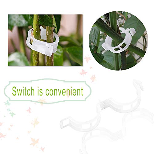 300 PCS Plant Support Garden Clips,Tomato Vine Clips,Durable Crop Clips in White for Flower Vine Twine Tomato Orchid to Grow Upright and Healthier - view 4