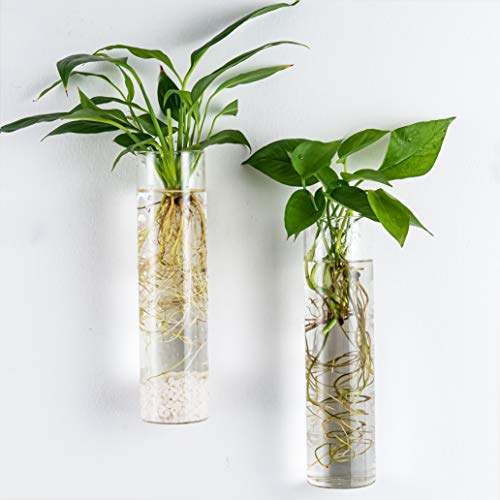 Wall Hanging Vases, 4 Pack Glass Plant Propagation Tubes - view 2