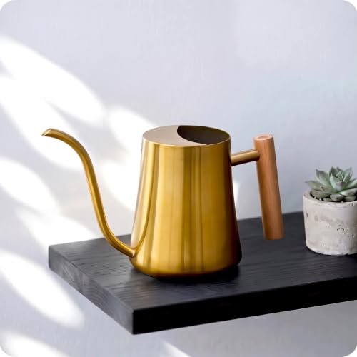 Indoor Watering Can for House Plant & Small Bonsai (1L, Brass Gold)