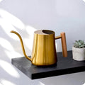Indoor Watering Can for House Plant & Small Bonsai (1L, Brass Gold)