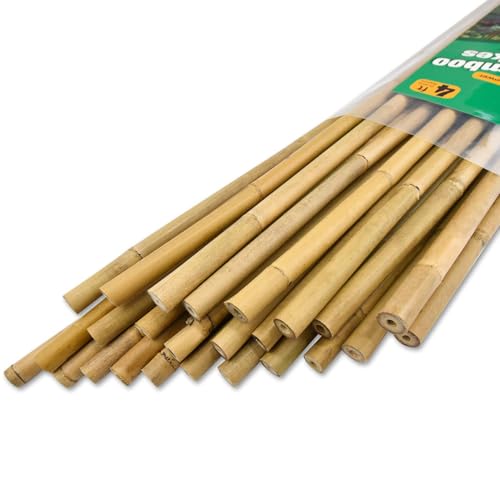 25pcs 1/2" D Thicker Heavy Duty Bamboo Stakes, 4FT Plant Stakes, Natural Garden Stakes for Tomato, Bean, Flowers,Trees Potted and Climbing Plant Support