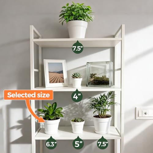Plant Pots Indoor 6 Inch 8 Pack, Plastic Flower Pots with Saucer White - view 5