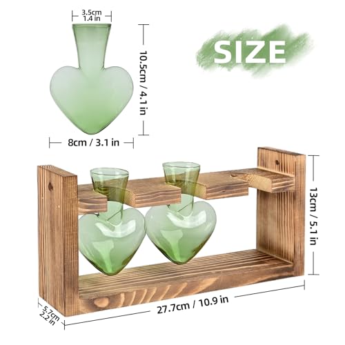 Plant Terrarium Propagation Stations Hydroponics - view 4