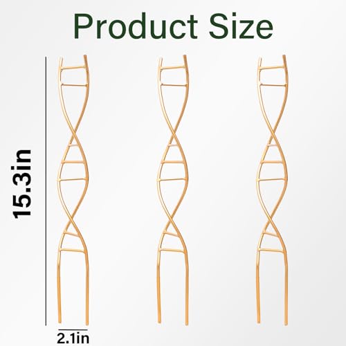 3PCS DNA Plant Trellis Indoor & Outdoor,Metal Trellis for Pots - view 2