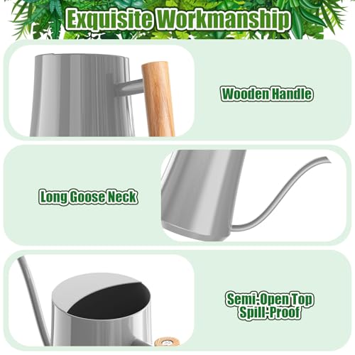 1L/35oz Metal Watering Can Indoor with Long Spout, Gray - view 4
