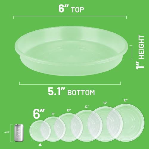 6-Pack Plastic Plant Saucers Tray for Indoor, 6 Inches, Clear - view 2