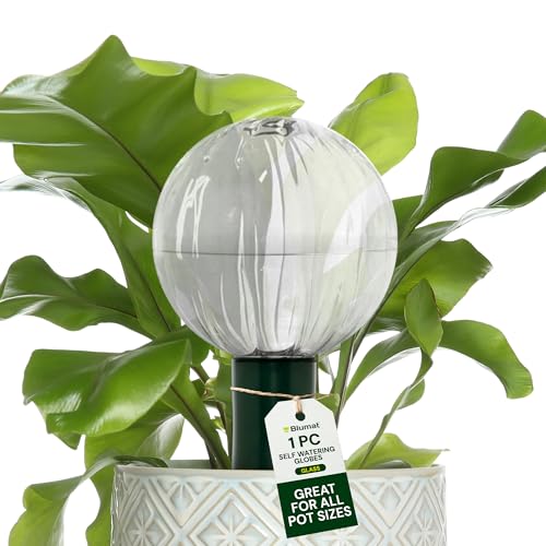 Glass Globe with Bottle Adapter - view 3