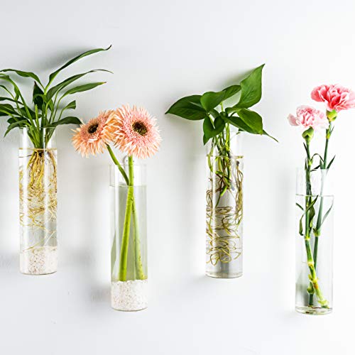 Wall Hanging Vases, 4 Pack Glass Plant Propagation Tubes - view 5