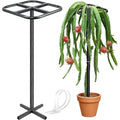Extra Thick Adjustable Dragon Fruit Trellis, Metal Plant Trellis