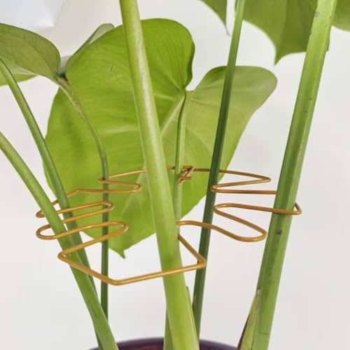 Potted Plant Growth Guide with Decorative Iron Foliage, Gold S - view 6