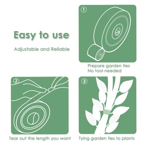 Garden Tie Green Strap Plant Supports Gentle on Plants Pre-Cut Design Tearable Reusable Sturdy Multi-Purpose for Home Garden Balcony Office (32.8ft × 0.6 inch, 2 Rolls) - view 3